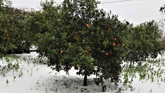Antalya'da 30 santimetre dolu yağdı, temizlik için iş makineleri seferber oldu
