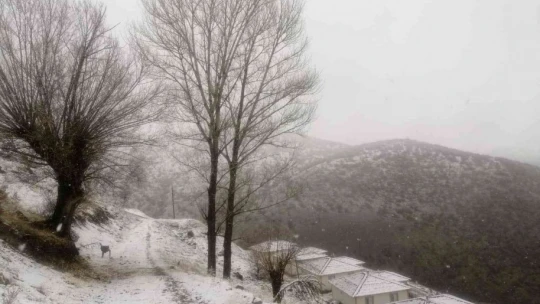 Arapgir'de kar etkili oldu