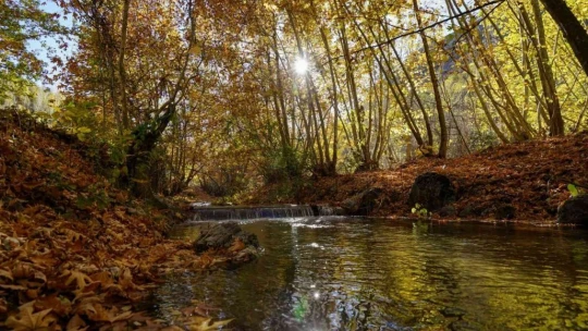 Arapgir'de sonbahar