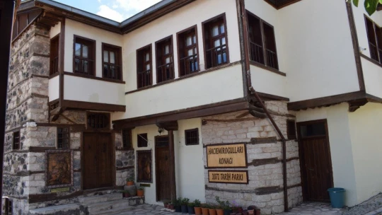 Arapgir'de tescilli tarihi yapı sayısı 221'e ulaştı