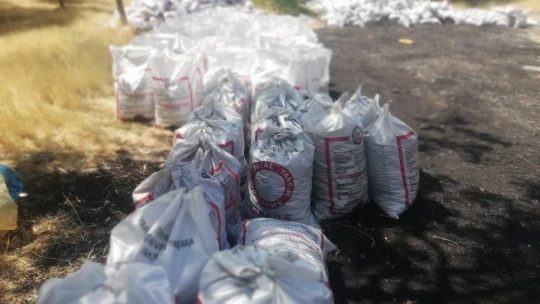 Arguvan'da ihtiyaç sahiplerine kömür dağıtımı başladı