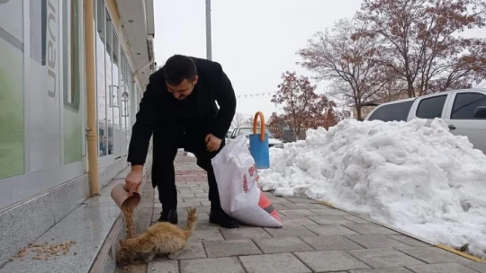 Arguvan'da sokak hayvanları unutulmadı