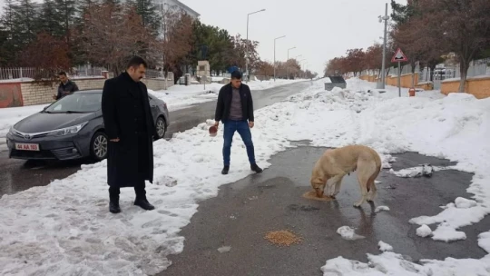 Arguvan'da sokak hayvanları unutulmadı