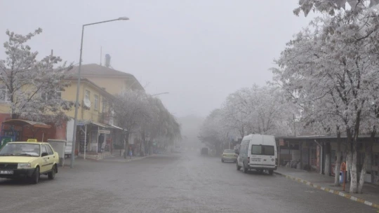 Arguvan sis altında