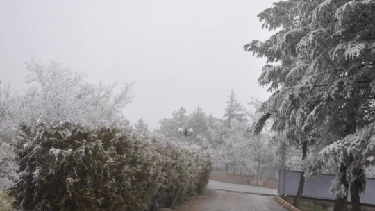 Arguvan sis altında