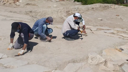 Arslantepe Höyüğü kazılarında 5 bin yıllık tohumlar ortaya çıkarıldı