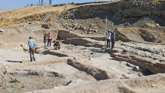 Arslantepe Höyüğü kazılarında 5 bin yıllık tohumlar ortaya çıkarıldı
