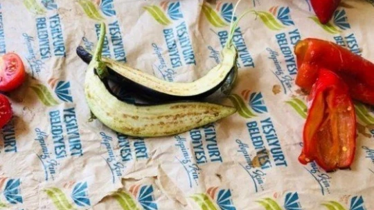 Ata tohumlarından ilaçsız doğal ürünler üretiliyor