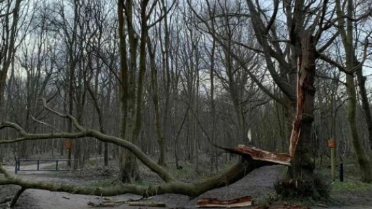 Avrupa'yı 'Eunice Kasırgası' vurdu: 10 ölü
