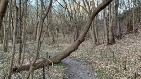 Avrupa'yı 'Eunice Kasırgası' vurdu: 10 ölü