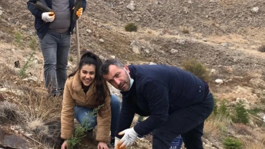 Azerbaycan bayrağı gölgesinde Darende'de fidan dikimi