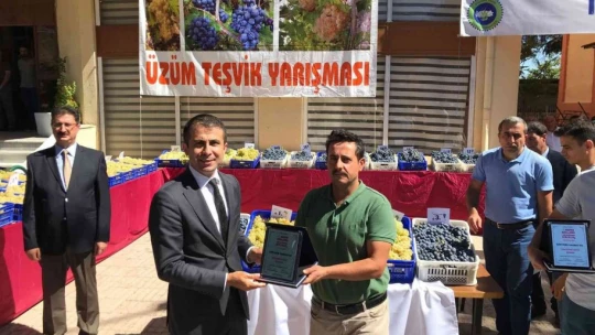 Bağbozumu ve reyhan hasat şenlikleri başladı