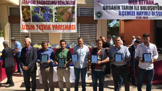 Bağbozumu ve reyhan hasat şenlikleri başladı