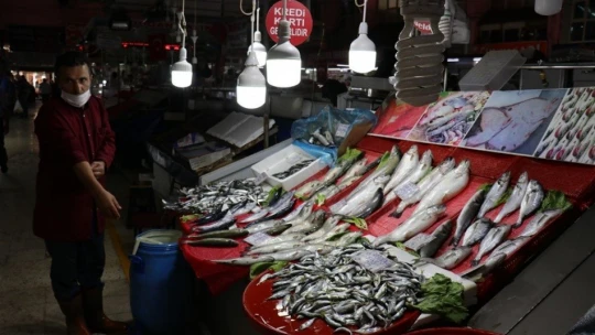 Balıkçılara sıcak hava darbesi