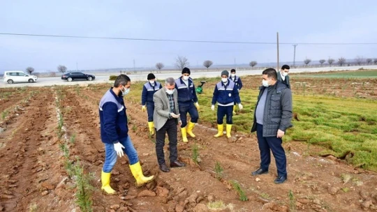 Başkan Çınar, tarımsal üretim ve ar-ge sahasındaki çalışmaları inceledi
