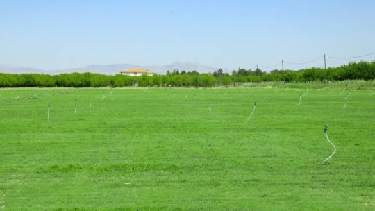 Battalgazi Belediyesi 'rulo çim üretim tesisi' kurdu