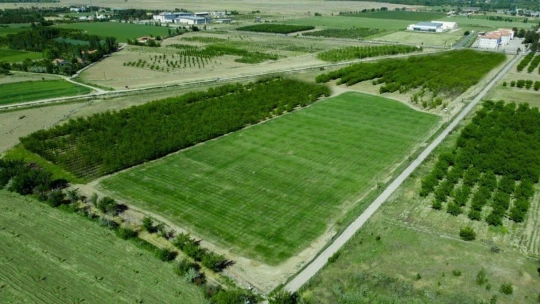 Battalgazi Belediyesi 'rulo çim üretim tesisi' kurdu