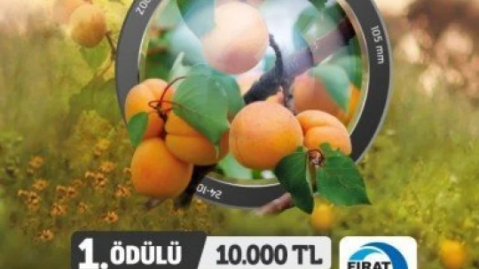 Battalgazi Belediyesi'nden ödüllü fotoğraf yarışması