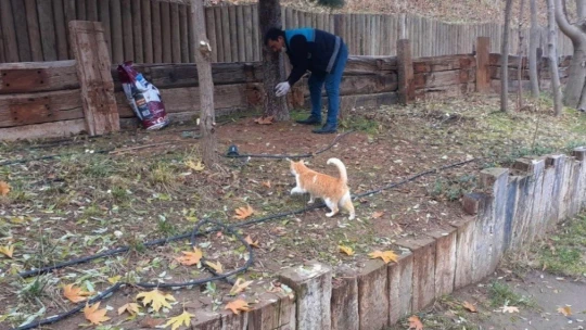 Battalgazi'de sokak hayvanları unutulmadı