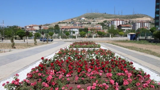 Battalgazi'deki gül bahçesinin yüzde 75'i tamamlandı