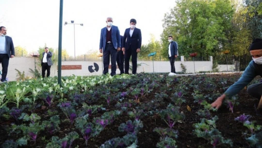 Battalgazi'ye 25 bin kök süs bitkisi dikiliyor