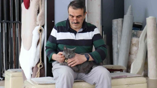 Beslemek için aldığı kedi can dostu oldu