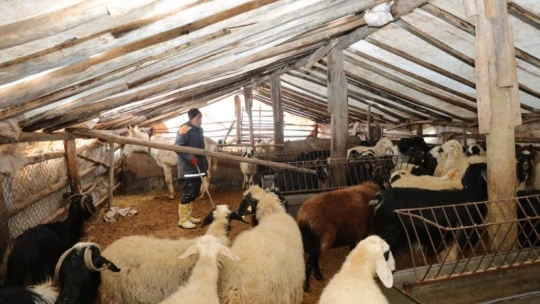 Beydağı eteklerinde kurtarma