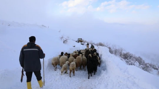 Beydağı eteklerinde kurtarma