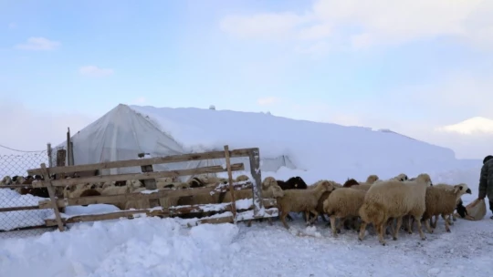 Beydağı eteklerinde kurtarma