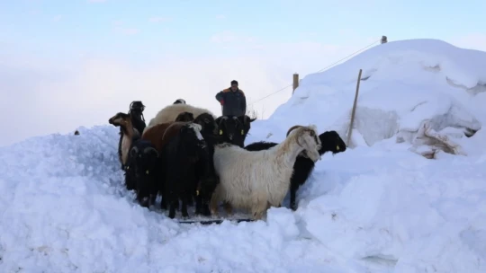 Beydağı eteklerinde kurtarma