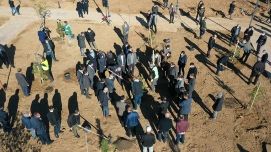 Beylerderesi'ne Öğretmenler Ormanı kuruldu