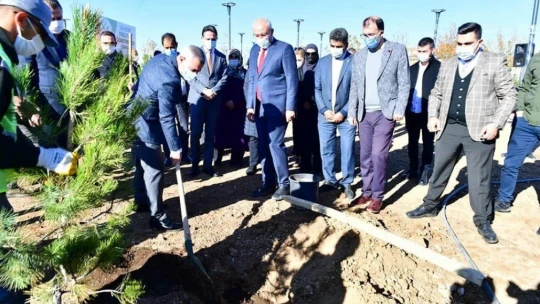 Beylerderesi'ne Öğretmenler Ormanı kuruldu