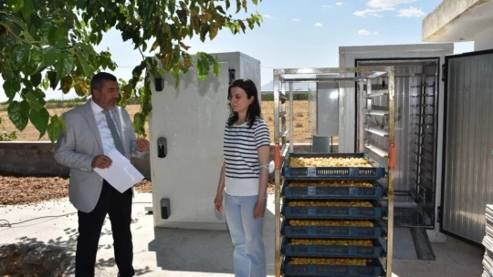 Bilim insanlarının geliştirdiği kayısı kükürtleme odası tam not aldı