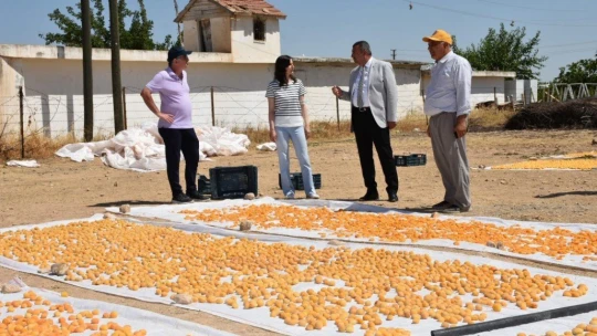 Bilim insanlarının geliştirdiği kayısı kükürtleme odası tam not aldı