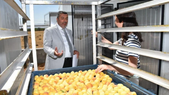 Bilim insanlarının geliştirdiği kayısı kükürtleme odası tam not aldı