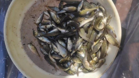 Bilinçsiz balık avcılığı uyarısı