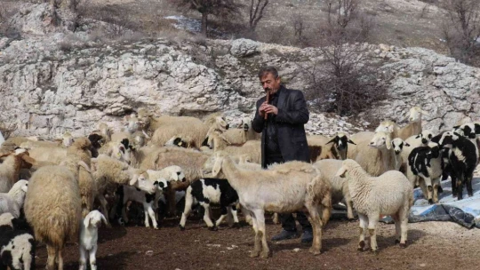 Bin 700 metre rakımdaki sürülerin kaval keyfi