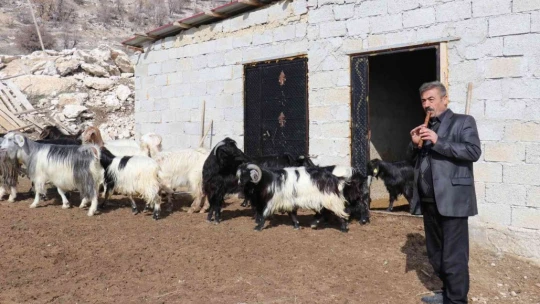Bin 700 metre rakımdaki sürülerin kaval keyfi