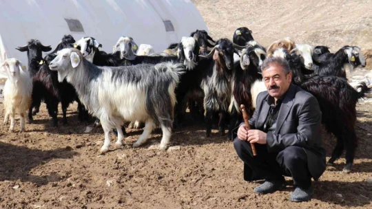 Bin 700 metre rakımdaki sürülerin kaval keyfi