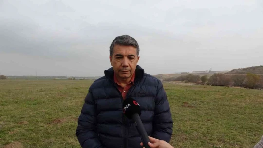 Bu atlar para basıyor