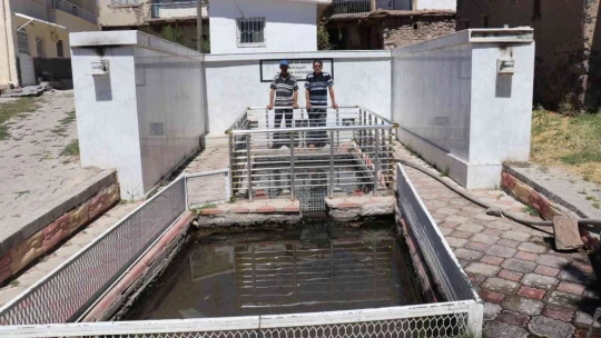 Bu balıkların gizemi çözülemiyor