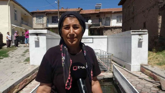 Bu balıkların gizemi çözülemiyor