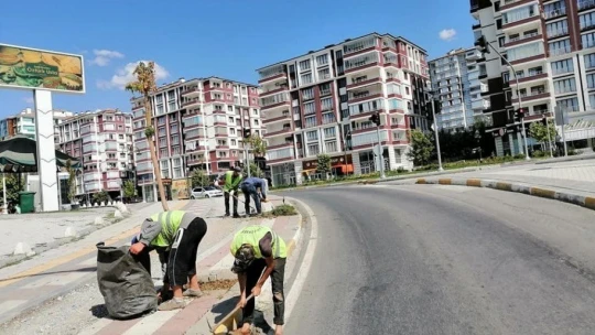 Büyükşehir'den yabani ot temizliği