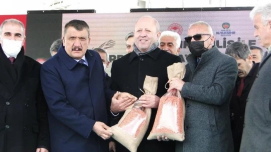 Çiftçilere dağıtılan arpa ve buğdayın ekimi yapılıyor