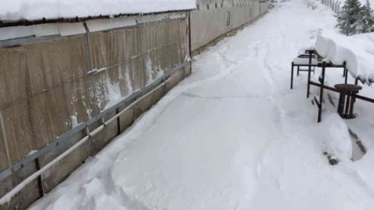 Çiftliğin çatısı çöktü, binlerce tavuk telef oldu