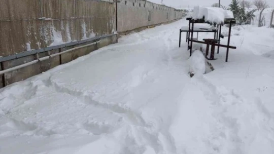 Çiftliğin çatısı çöktü, binlerce tavuk telef oldu