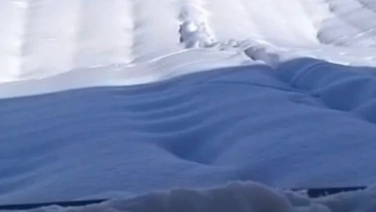 Çiftliğin çatısı kar nedeniyle çöktü, binlerce tavuk telef oldu