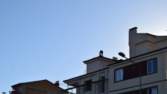 Çıktığı çatıdan kendi indi, arkadaşını çıkardı