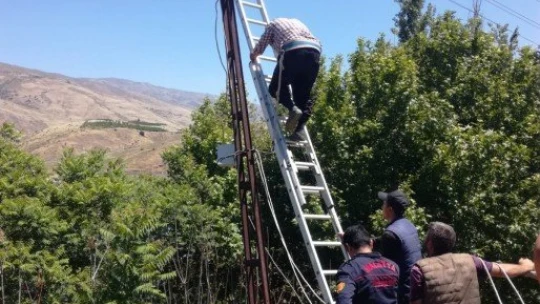 Çıktığı elektrik direğinde mahsur kaldı