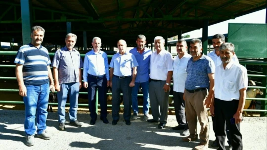 Çınar, canlı hayvan pazarını ziyaret edip, üreticilerle bir araya geldi